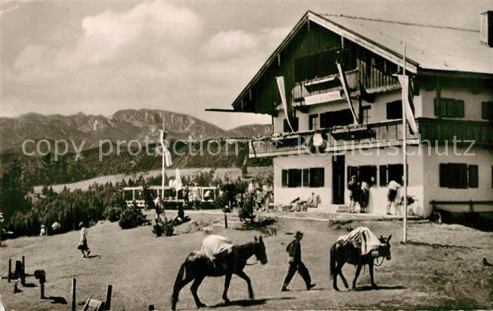 Bad Toelz Blomberghaus mit Benediktenwandgruppe Pferde