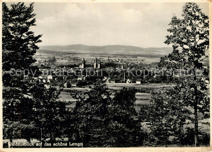 Lemgo Lippe NRW Waldausblick