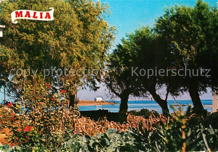 Malia Stalida Panorama