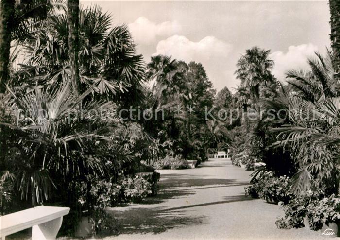 Bad Pyrmont Palmengarten