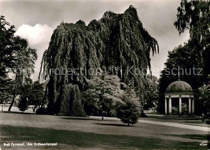 Bad Pyrmont Am Erdbeertempel
