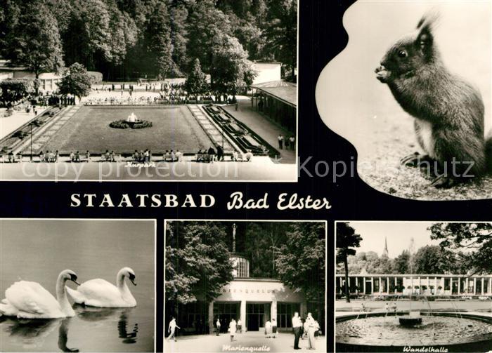 Bad Elster Kurpark Marienquelle Wandelhalle Schwaene