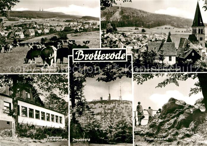 Brotterode Inselsburgschanze Fuchsbau Mommelstein Inselsberg