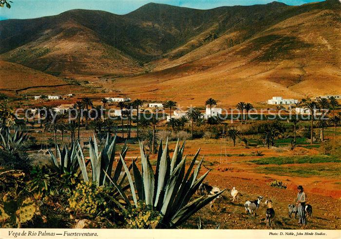 Fuerteventura Vega de Rio Palmas