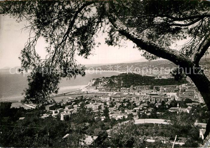 Nice Alpes Maritimes Vue generale entre les Pins