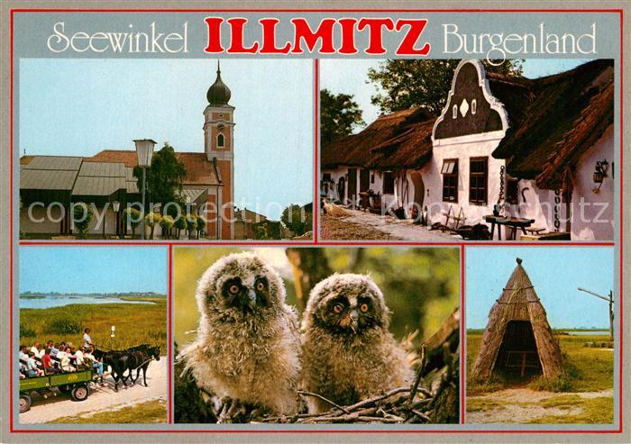 Illmitz Kirche Barockgiebelhaus Pferdewagen Junge Eulen Schilfhuette Puszta