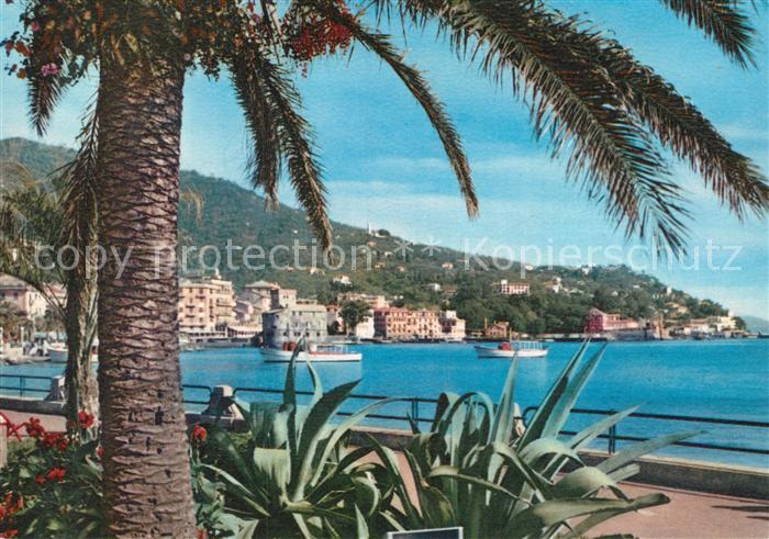 Rapallo Una visione incantevole dalla Passeggiata