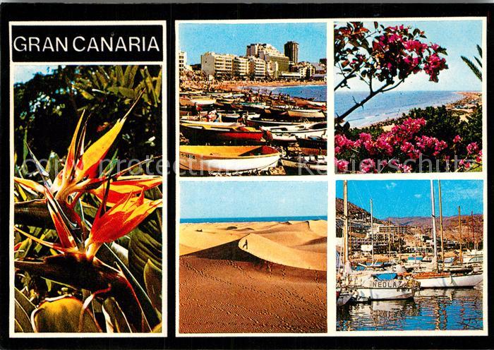 Gran Canaria Diversos aspecto Blumen Hafen Fischerboote Wuestenlandschaft Duenen