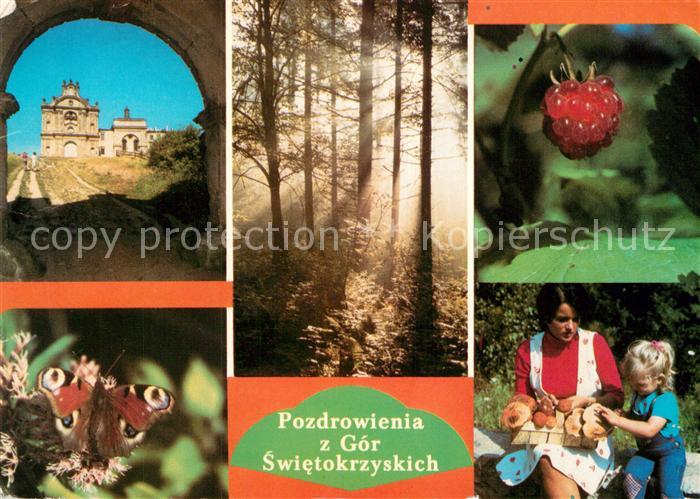 Gory Swietokrzyskie Schloss Waldpartie Himbeere Schmetterling