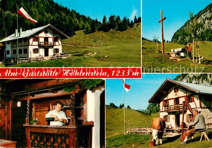 Woergl Tirol Alm Gaststaette Hoehlenstein Gipfelkreuz Almvieh Kuh