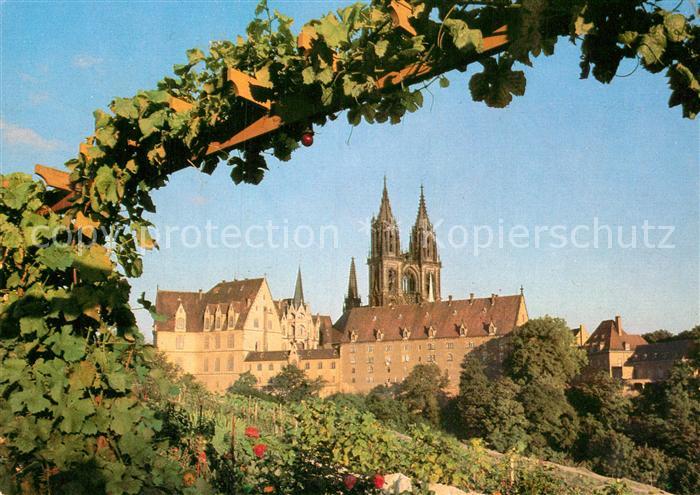 Meissen Elbe Sachsen Albrechtsburg und Dom Blick von den Weinbergen auf der Moen