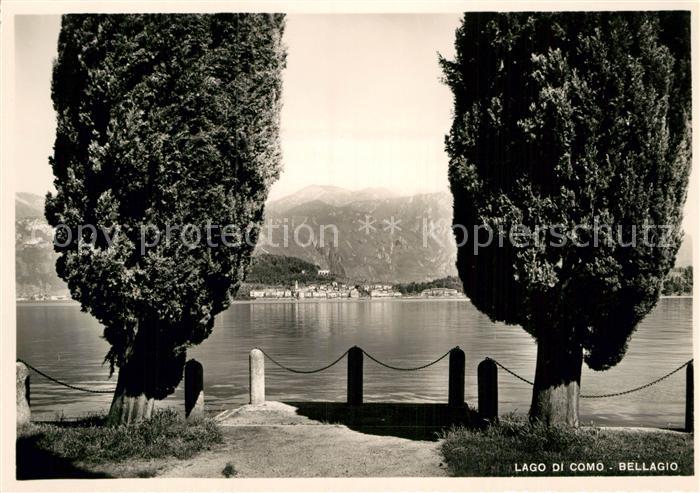 Bellagio Lago di Como Uferpromenade Comer See Pappeln