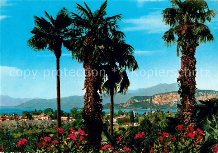 Bardolino Lago di Garda Panorama Palmen Alpen