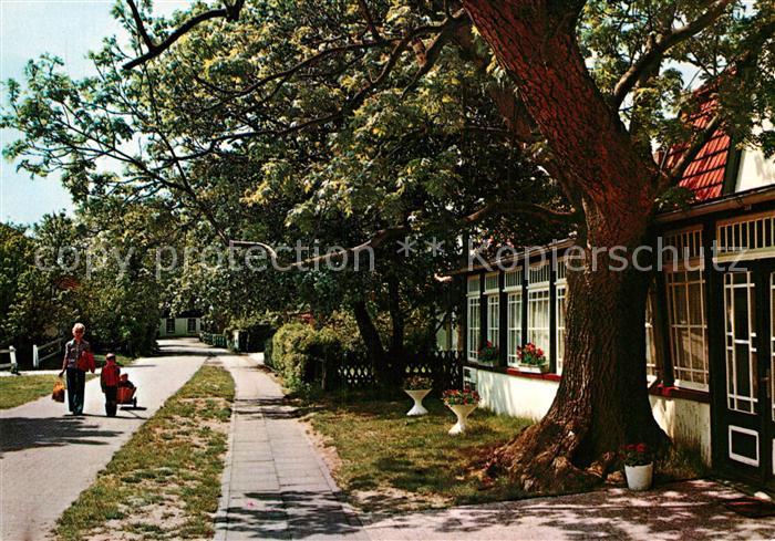 Spiekeroog Teilansicht