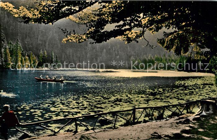 Arbersee Partie am See