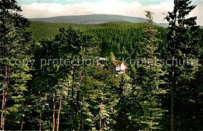Hohegeiss Harz Waldhotel Dicke Tannen