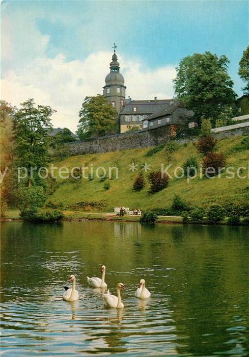 Bad Berleburg Partie im Schlosspark Schwaene
