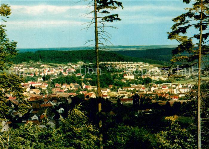 Bad Driburg mit Steinberg