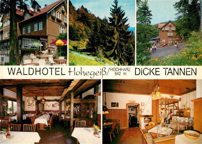 Hohegeiss Harz Waldhotel Dicke Tannen
