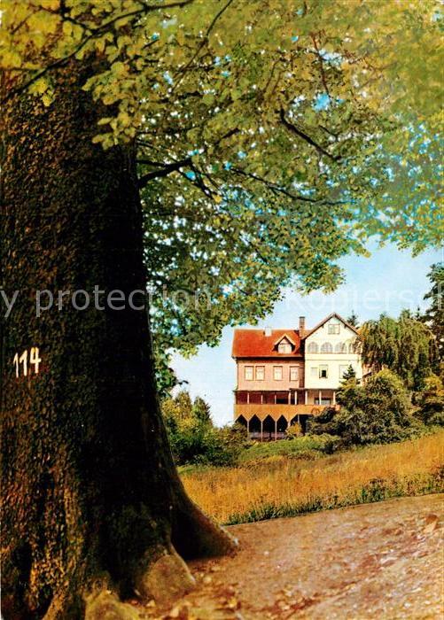 Hohegeiss Harz Waldhotel Dicke Tanne