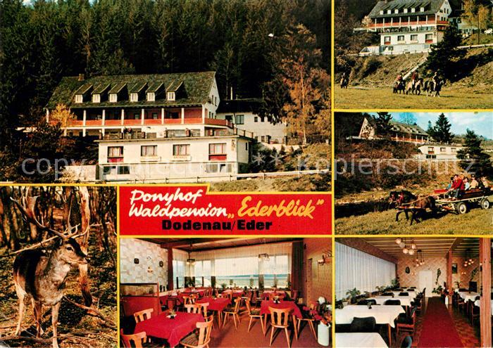Dodenau Ponyhof Waldpension Ederblick