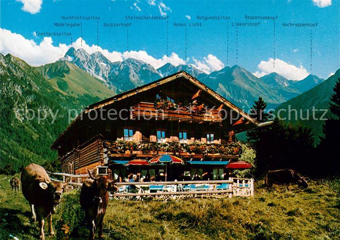 Oberstdorf Berggaststaette Hochleite Kuehe