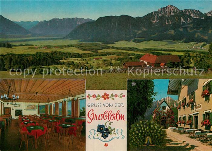 Anger Chiemgau Strobl-Alm