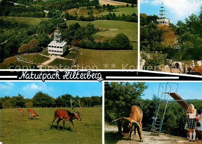 Haren Ems Naturpark Hilterberg Fliegeraufnahme Wild Bueffel Pferdwagen