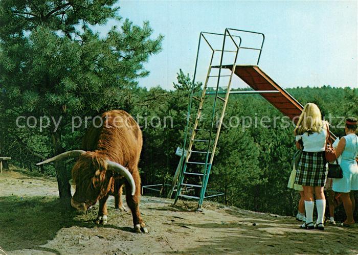 Haren Ems Naturpark Hilterberg Bueffel