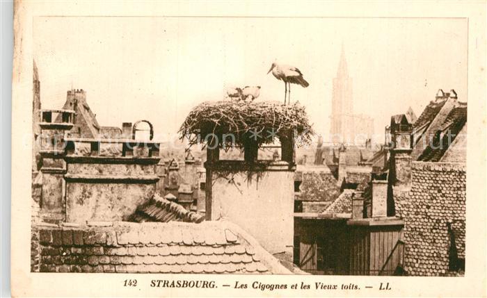 Storch Strasbourg Cicognes