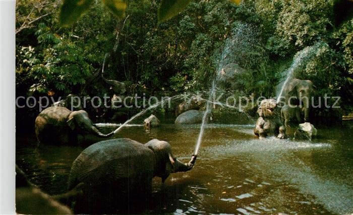 Disneyland California Elephant Pool