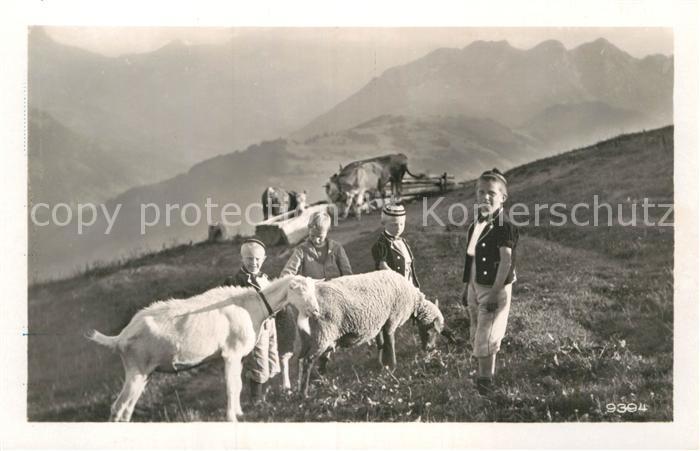 Schafe Ziege Sennbub