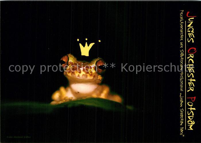 Froesche Der Froschkoenig Junges Orchester Potsdam