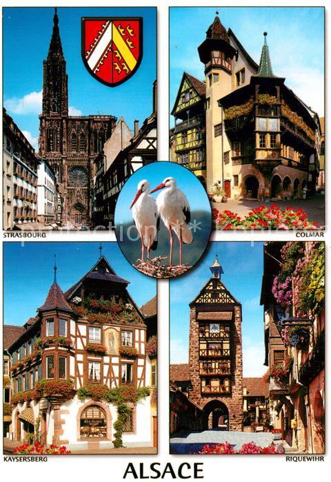 Storch Alsace Strasbourg Colmar Kaysersberg Riquewihr