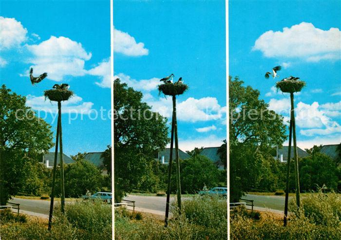 Storch Storke Rudbol