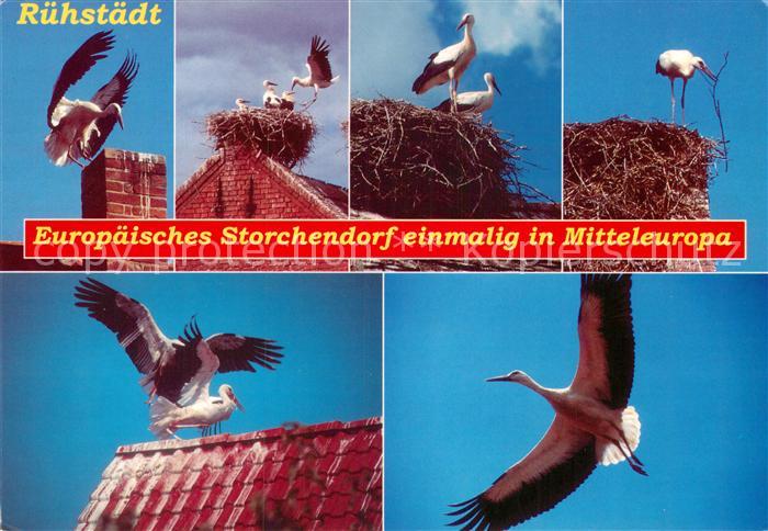 Storch Ruehstaedt