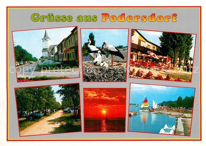 Storch Podersdorf Neusiedlersee Seestrasse Pfa