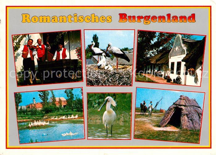 Storch Burgenland Zigeunerkapelle Barockgiebelhaus Loeffler