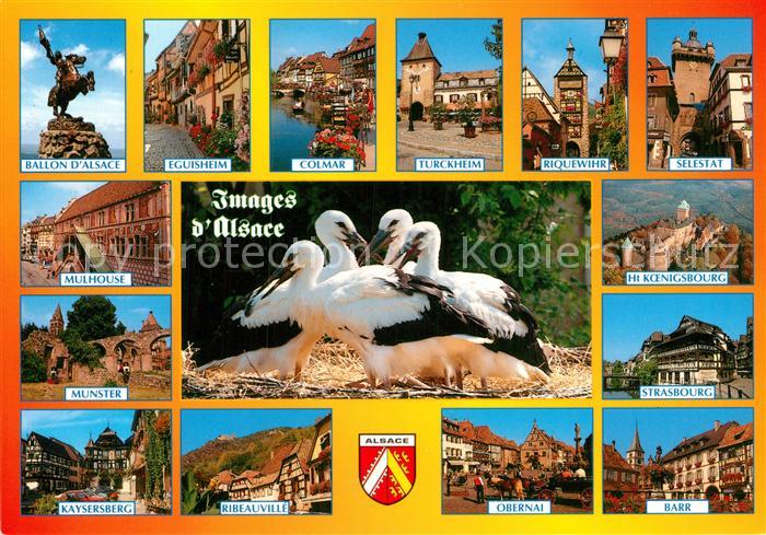 Storch Alsace Mulhouse Ribeauville Barr Selestat Turckheim Eguisheim