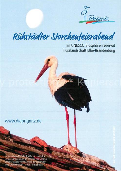 Storch Ruehstaedt Erlebnisfuehrung Storchenfeierabend