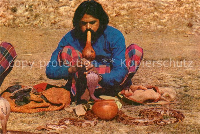 Schlangen Tiere Snake Charmer Schlangenbeschwoerer