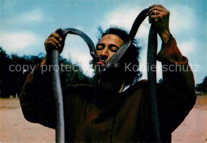 Schlangen Tiere Charmeur de Serpents Maroc Schlangenbeschwoerer