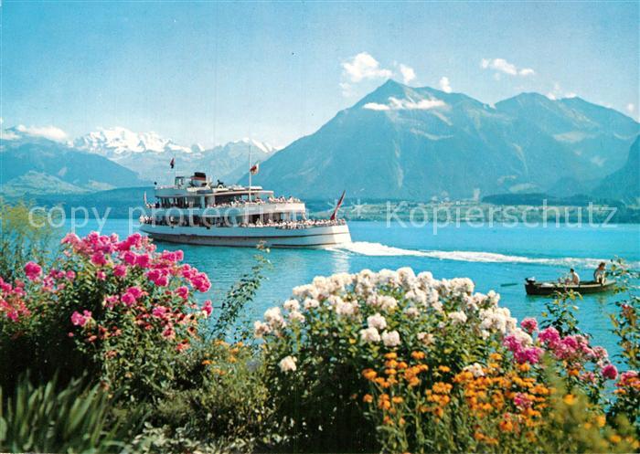 Motorschiffe Thunersee Bluemlisalp Niesen