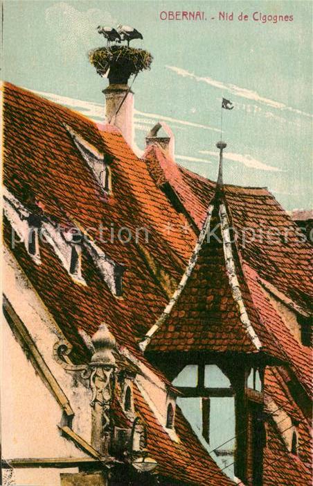 Obernai Bas Rhin Nid de Cigognes
