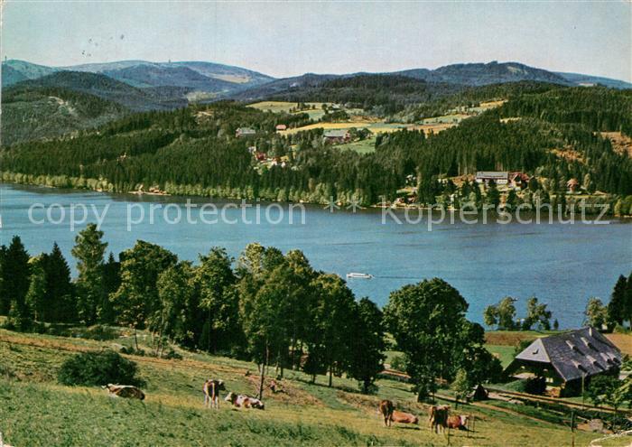 Titisee mit Feldberg