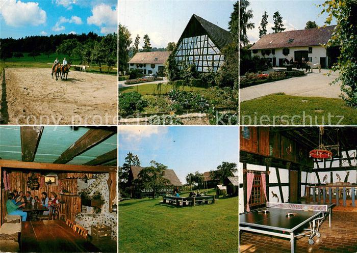 Gaienhofen Ferienhof Balisheim Stube Reiten Tischtennis