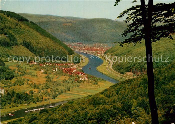 Eberbach Neckar Panorama