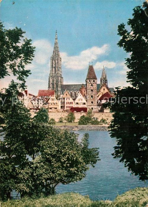 Ulm Donau Muenster Stadtmauer