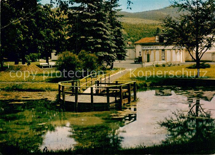 Zwesten Bad Loewensprudel