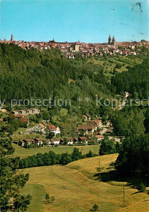 FREUDENSTADT BW Panorama